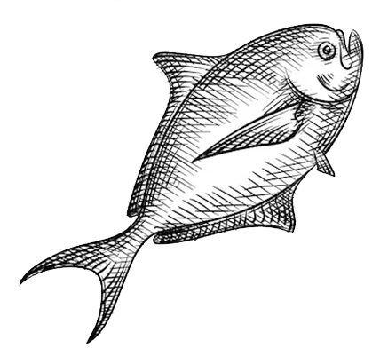 Fish 3